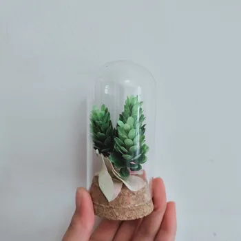 4sets/pack 5*10cm Mini Glass Dome Home Wedding Decoration Diameter=5cm Height=10cm Glass Cover Vase Friend Gift
4sets/pack 5*10cm Mini Glass Dome Home Wedding Decoration Diameter=5cm Height=10cm Glass Cover Vase Friend Gift