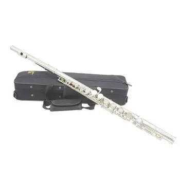 SLADE Western Concert Silver Flute Plated 16-hole Gold C Cupro-nickel Wind Instrument with Cleaning Cloth Gloves Screwdriver Sti
SLADE Western Concert Silver Flute Plated 16-hole Gold C Cupro-nickel Wind Instrument with Cleaning Cloth Gloves Screwdriver Sti