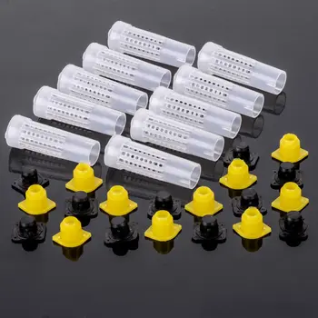 100x/Set Beekeeping Rearing Cup Kits Queen Bee Hair Roller Cages Equip Tools New
100x/Set Beekeeping Rearing Cup Kits Queen Bee Hair Roller Cages Equip Tools New