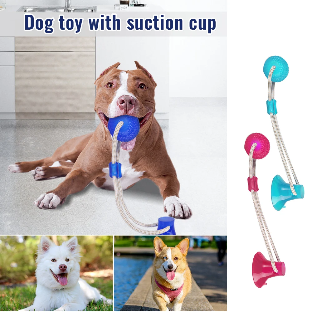 suction cup dog toy with ball