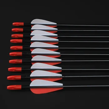 12pcs Archery Fiberglass Arrows OD 7 mm Spine 700 32 Inches Arrow for Recurve or Long Bow Shooting Practice
12pcs Archery Fiberglass Arrows OD 7 mm Spine 700 32 Inches Arrow for Recurve or Long Bow Shooting Practice