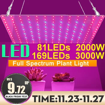 

3000W Growth Lamp For Plants Led Grow Light Full Spectrum Phyto Lamp Fitolampy Indoor Herbs Light For Greenhouse Led Grow Tent