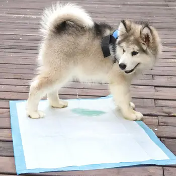 Antibacterial Dog Urine Pad Cat Non-Woven Convenient Pet Pet Training Pads Absorbent Indoor Diaper Disposable Puppy Pee Mats
Antibacterial Dog Urine Pad Cat Non-Woven Convenient Pet Pet Training Pads Absorbent Indoor Diaper Disposable Puppy Pee Mats