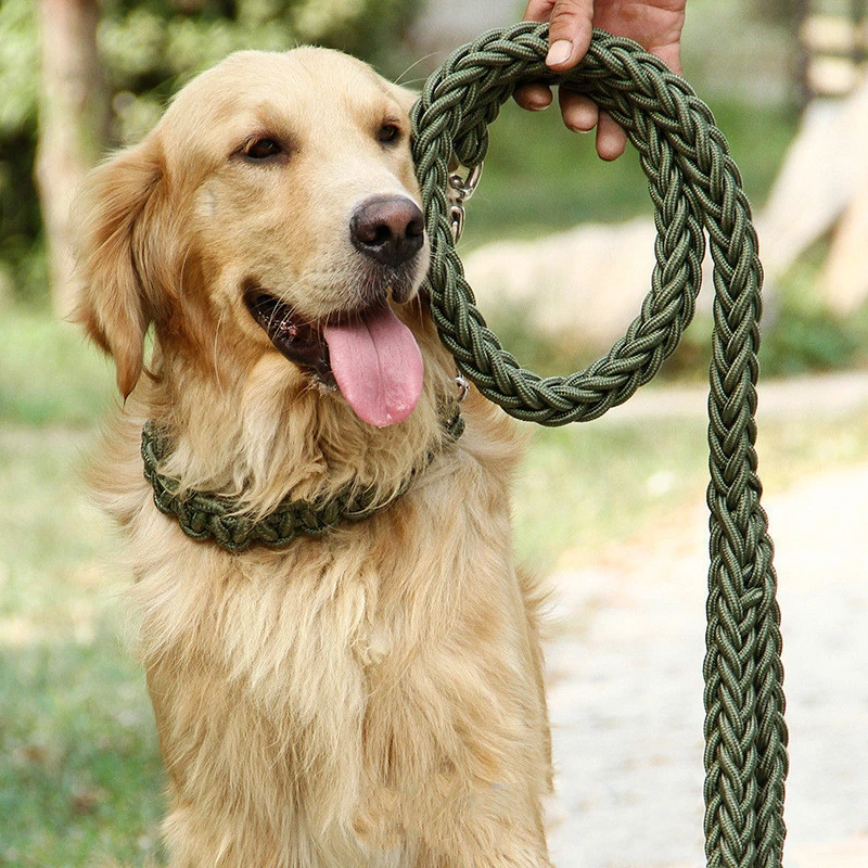 Medium and Large Dog Traction Rope 1.3m Outdoor Training Nylon Bold Metal Anti-Bite Chain Safety Rope Pet Traction + Collar
Medium and Large Dog Traction Rope 1.3m Outdoor Training Nylon Bold Metal Anti-Bite Chain Safety Rope Pet Traction + Collar