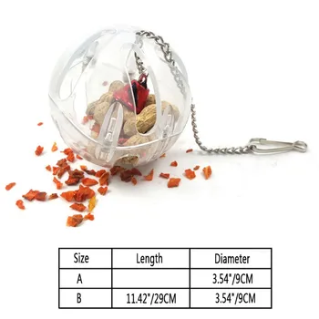 Parrots Ball Toys Hanging Feeder Ball With Chain Cage Pendant Birds Intelligence Foraging Ball Toys Bird Suppliers Hot
Parrots Ball Toys Hanging Feeder Ball With Chain Cage Pendant Birds Intelligence Foraging Ball Toys Bird Suppliers Hot