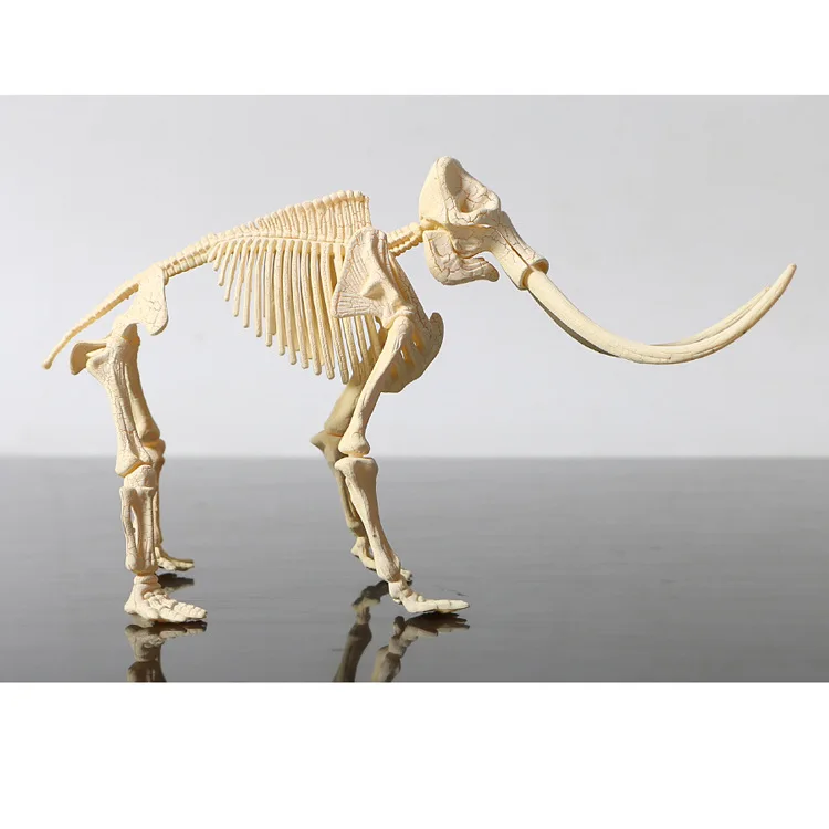 Archeology Dinosaur Assembled Mammut Toy Children'S Educational DIY Dinosaur Fossil Assembled Set Scientific And Educational Toy
Archeology Dinosaur Assembled Mammut Toy Children'S Educational DIY Dinosaur Fossil Assembled Set Scientific And Educational Toy