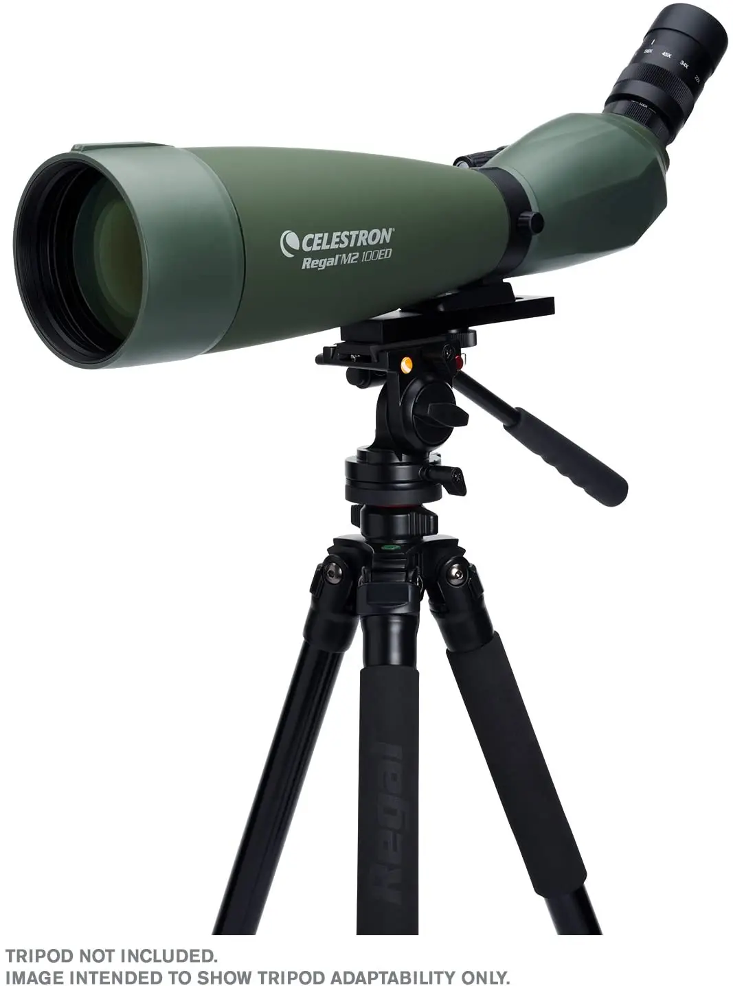 

Celestron Regal M2 65ED 80ED 100ED Fully Multi-Coated Optics ED Objective Lens for Bird Watching, Hunting 22-67x Zoom Lens