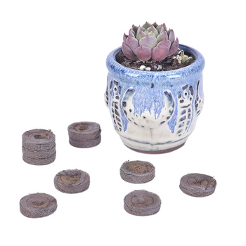 20PCS / 5PCS 30mm Peat Pellets Seed Starting Plugs Seeds Starter Pallet Seedling Soil Block Professional Tool Easy To Use
20PCS / 5PCS 30mm Peat Pellets Seed Starting Plugs Seeds Starter Pallet Seedling Soil Block Professional Tool Easy To Use