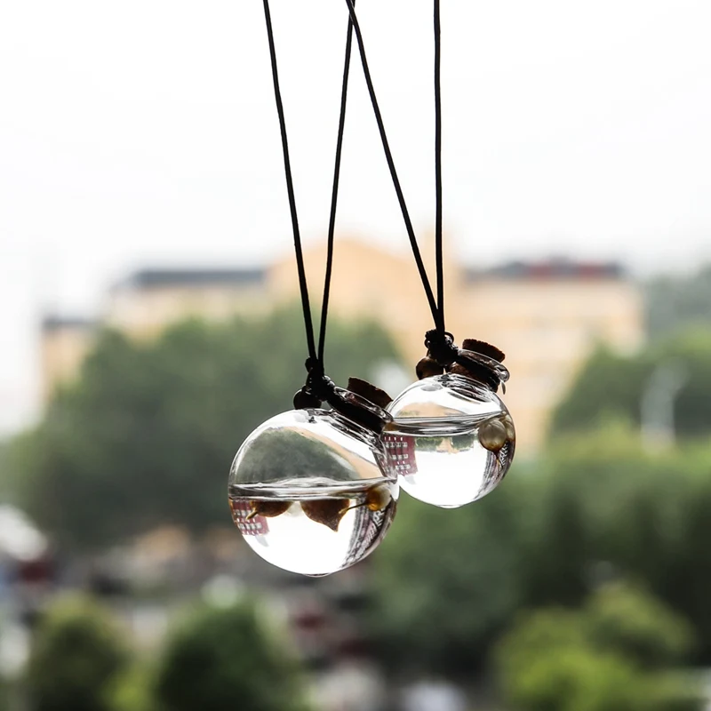 For Car Perfume Bottle Empty Hanging Bottle for Essential Oils Perfume Pendant Auto Ornament with Flower Air Freshener
For Car Perfume Bottle Empty Hanging Bottle for Essential Oils Perfume Pendant Auto Ornament with Flower Air Freshener