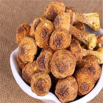 Agaricus blazei dry goods 250g premium fresh wild native products Brazil mushrooms
Agaricus blazei dry goods 250g premium fresh wild native products Brazil mushrooms