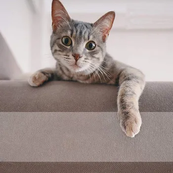 Cat Scratch Prevention Tape Anti-Scratch Tape Roll Cat Scratch Prevention Clear Sticker For Furniture Couch Door Carpet
Cat Scratch Prevention Tape Anti-Scratch Tape Roll Cat Scratch Prevention Clear Sticker For Furniture Couch Door Carpet