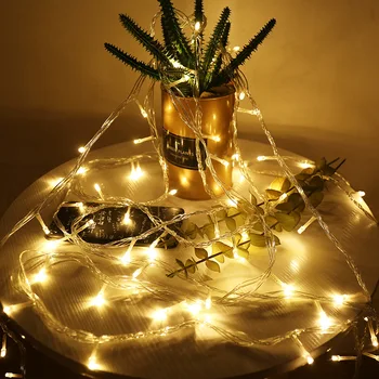 Waterproof LED string light thick wire light string 5M/10M family party decoration battery box fairy light indoor lighting 
Waterproof LED string light thick wire light string 5M/10M family party decoration battery box fairy light indoor lighting