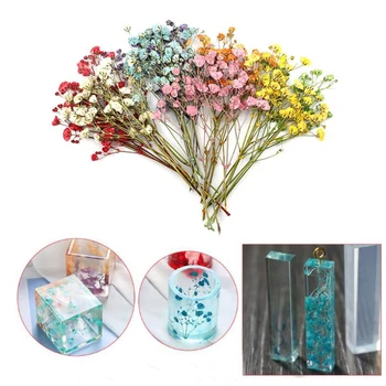 1 Box Filling Flower Dry Handmade Flowers DIY Epoxy Resin Filler Crafts Silicone Molds Tools UV Crystal Accessories Decoration
1 Box Filling Flower Dry Handmade Flowers DIY Epoxy Resin Filler Crafts Silicone Molds Tools UV Crystal Accessories Decoration