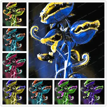 Plant Flower Bath Salts Mini Venus Fly Trap Carnivorous Plants Essence 100Pcs XZZ-263
Plant Flower Bath Salts Mini Venus Fly Trap Carnivorous Plants Essence 100Pcs XZZ-263