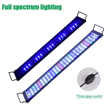 Extendable Rack Home Office Aquarium Light Quick Heat Dissipation Decorative Aluminum Alloy Bright LED External Controller
Extendable Rack Home Office Aquarium Light Quick Heat Dissipation Decorative Aluminum Alloy Bright LED External Controller