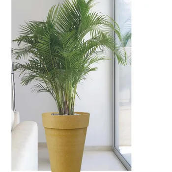 Concrete Flower Pot (33*45*45 cm) lavender Series All color 1st Class Material to Resıstant Cracking and Breakage
Concrete Flower Pot (33*45*45 cm) lavender Series All color 1st Class Material to Resıstant Cracking and Breakage