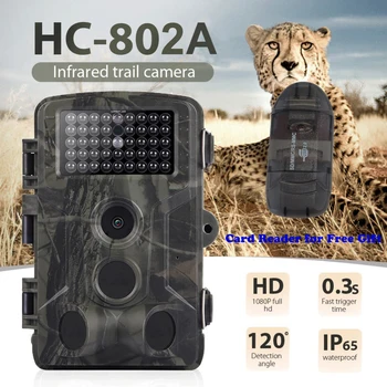2.4inch LCD Screen Wildlife Trail Camera Photo Trap Infrared 16MP 1080P Hunting Cameras HC802A Wildlife Wireless Surveillance
2.4inch LCD Screen Wildlife Trail Camera Photo Trap Infrared 16MP 1080P Hunting Cameras HC802A Wildlife Wireless Surveillance