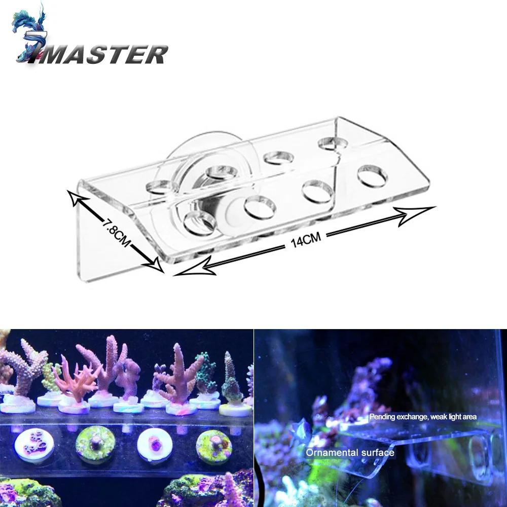 Phyto Plus Coral Frag SPS Support Stand Bracket Acrylic Strong Suction cup Fix Aquarium Fish Tank Reef Inclined Plane
Phyto Plus Coral Frag SPS Support Stand Bracket Acrylic Strong Suction cup Fix Aquarium Fish Tank Reef Inclined Plane