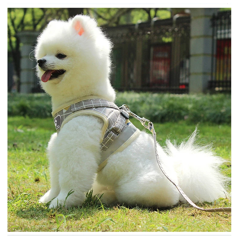 Polyester Mesh Breathable Reflective Dog Cat Harness And Leash Set Dogs Vest Harness Leads Pet Clothes For Small Medium Pets Dog
Polyester Mesh Breathable Reflective Dog Cat Harness And Leash Set Dogs Vest Harness Leads Pet Clothes For Small Medium Pets Dog