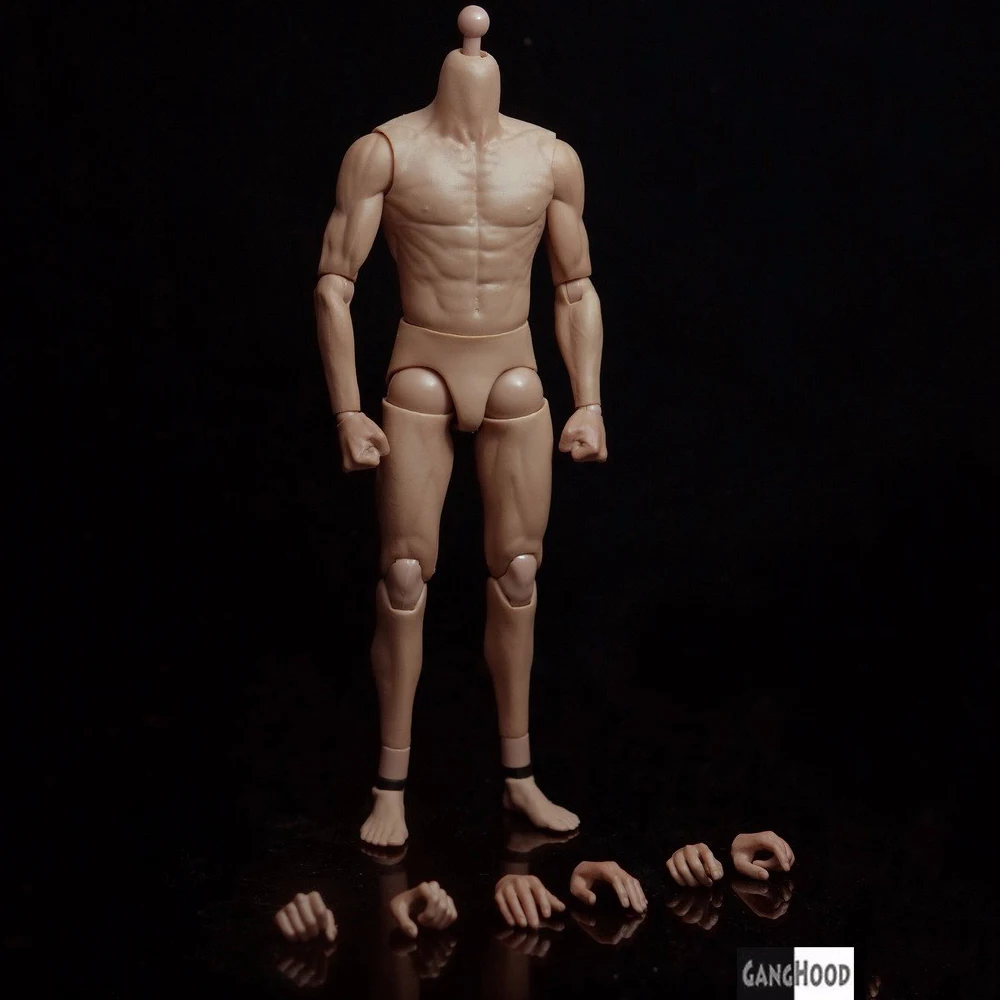 1/6 Scale G002 Asian Male Muscle Body Action Figure Model Similar to HT DX04 With Extra Hands for 12" Bruce Lee Male Head
1/6 Scale G002 Asian Male Muscle Body Action Figure Model Similar to HT DX04 With Extra Hands for 12" Bruce Lee Male Head