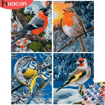 HUACAN Oil Painting By Numbers Bird Animal Kit Drawing On Canvas Wall Art HandPainted Home Decor DIY Gift
HUACAN Oil Painting By Numbers Bird Animal Kit Drawing On Canvas Wall Art HandPainted Home Decor DIY Gift