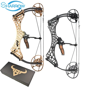 Powerful Archery Compound Bow Draw Weight 40-70lbs Adjustable Suit for Hunting Bow Shooting fish Practice Arrows Accessories
Powerful Archery Compound Bow Draw Weight 40-70lbs Adjustable Suit for Hunting Bow Shooting fish Practice Arrows Accessories