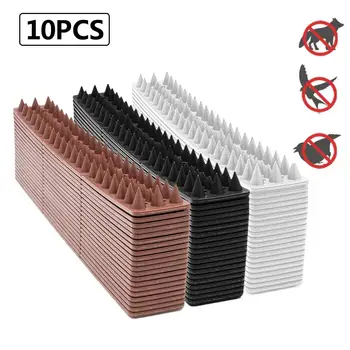 Plastic Bird Spike Wall Fence Spikes Yard Bird Spikes for Anti Climbing Security on Wall Window Railing
Plastic Bird Spike Wall Fence Spikes Yard Bird Spikes for Anti Climbing Security on Wall Window Railing