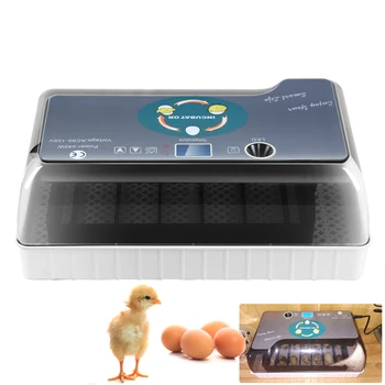 Honhill Egg Incubator Fully Automatic Farm Hatchery Brooder Machine 35pcs Egg Hatchers Automatic Eggs Incubator (Ship From EU)
Honhill Egg Incubator Fully Automatic Farm Hatchery Brooder Machine 35pcs Egg Hatchers Automatic Eggs Incubator (Ship From EU)