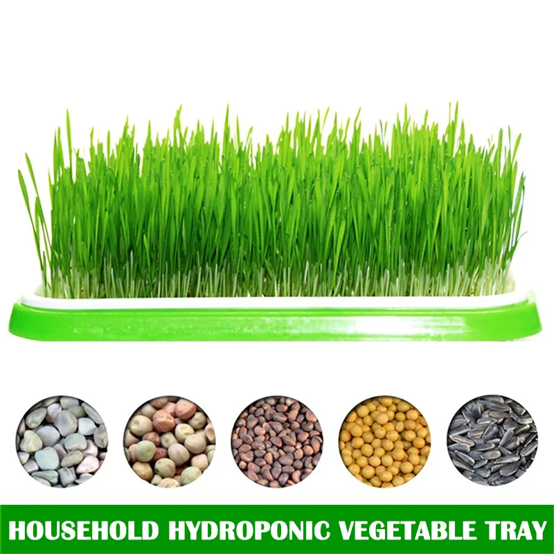 Novel Seed Sprouter Tray Plant Germination Trays Double Layer Hydroponics Basket Shipping
Novel Seed Sprouter Tray Plant Germination Trays Double Layer Hydroponics Basket Shipping