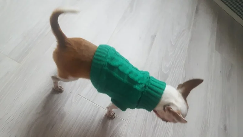 Dog Sweaters Winter Pet Clothes for Small Dogs Warm Sweater Coat Outfit. Dog Sweaters Winter Pet Clothes for Small Dogs Warm Sweater Coat Outfit.
