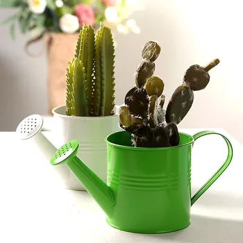 Watering Can Vintage Style Garden Watering Bucket Solid Color Plant Water Spray Can TUE88
Watering Can Vintage Style Garden Watering Bucket Solid Color Plant Water Spray Can TUE88