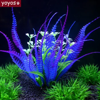 Hot Selling Fish Tank Decoration Fake Water Grass Simulation Aquarium Artificial Plant Plastic Fish Aquarium Accessories
Hot Selling Fish Tank Decoration Fake Water Grass Simulation Aquarium Artificial Plant Plastic Fish Aquarium Accessories