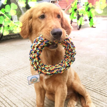 1pcs Colorful Round-Shaped Cotton Rope for Dogs Grinding Teeth Pet Toys for Small Big Dogs
1pcs Colorful Round-Shaped Cotton Rope for Dogs Grinding Teeth Pet Toys for Small Big Dogs