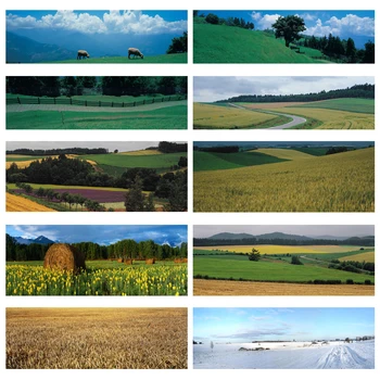 Nitree Wheat Field Grassland Landscape Snow Photo Studio Prop Fotografia Achtergrond Background Food Photography Backdrop Vinyl
Nitree Wheat Field Grassland Landscape Snow Photo Studio Prop Fotografia Achtergrond Background Food Photography Backdrop Vinyl
