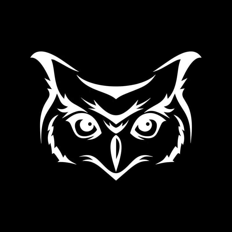 Car Sticker Owl Head Sticker PVC Car Outline Bird Bird Black/silver 13 Cm *9.7 Cm
Car Sticker Owl Head Sticker PVC Car Outline Bird Bird Black/silver 13 Cm *9.7 Cm