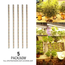 XRYL 5pcs/lot 1.2M 60W Tube Full Spectrum Warm Light Growing LED Growing Lamp For Indoor Plants Seeding Growth Tent Complete Kit
XRYL 5pcs/lot 1.2M 60W Tube Full Spectrum Warm Light Growing LED Growing Lamp For Indoor Plants Seeding Growth Tent Complete Kit