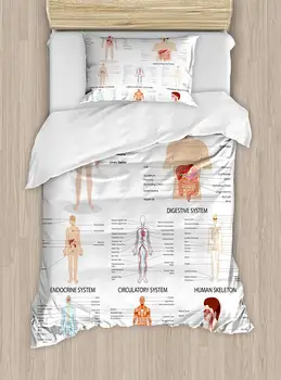 Human Anatomy Duvet Cover Set Complete Chart Different Organ Body Structures Cell Life Medical Illustration Decorative 2 Piece
Human Anatomy Duvet Cover Set Complete Chart Different Organ Body Structures Cell Life Medical Illustration Decorative 2 Piece