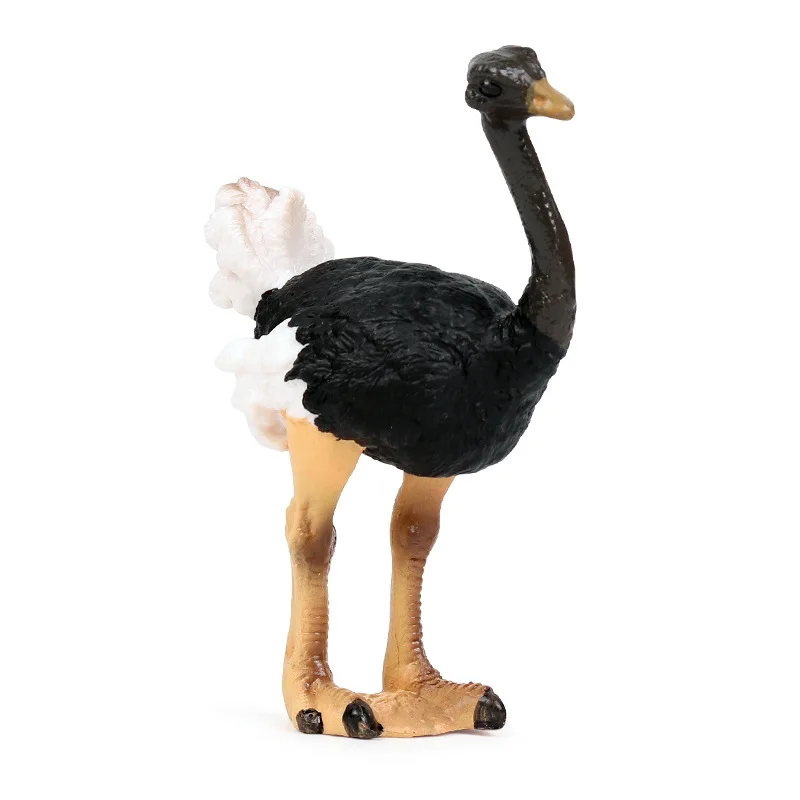 Children's Child Cognitive Simulation Wildlife Bird Model African Ostrich Bird Toy Decoration Set
Children's Child Cognitive Simulation Wildlife Bird Model African Ostrich Bird Toy Decoration Set