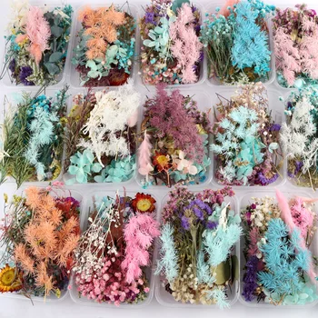 1 Box Random Mix Dried Flower Plant for Resin Jewellery Dry Plants Pressed Flowers Making Craft DIY Accessories
1 Box Random Mix Dried Flower Plant for Resin Jewellery Dry Plants Pressed Flowers Making Craft DIY Accessories