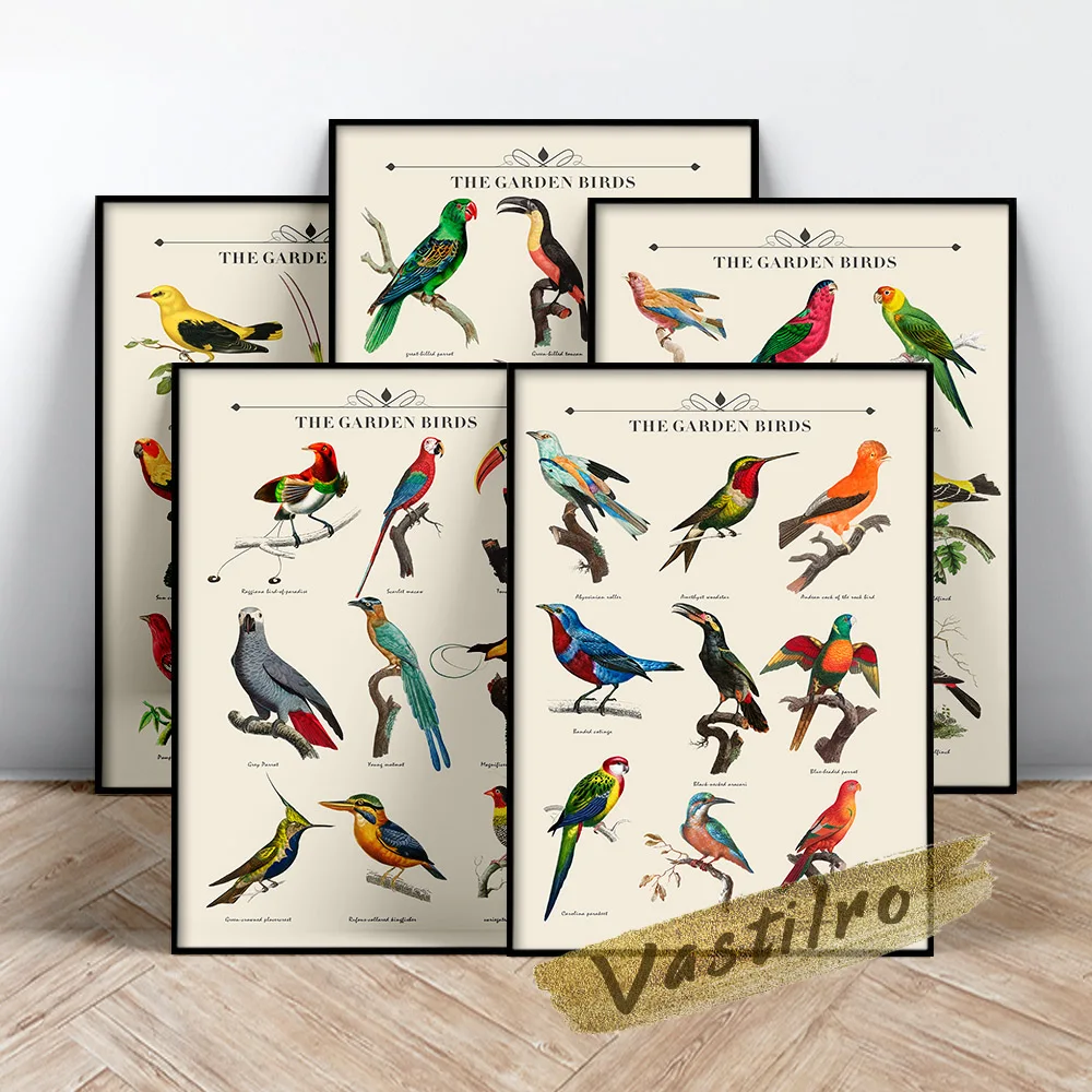 Garden Bird Exhibition Collection Wall Art Prints Poster Hand Drawn Animal Illustration Canvas Painting Wall Picture Home Decor
Garden Bird Exhibition Collection Wall Art Prints Poster Hand Drawn Animal Illustration Canvas Painting Wall Picture Home Decor
