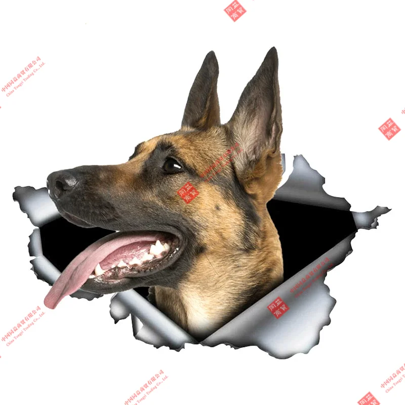 Creative Animal Belgian Malinois Car Sticker Torn Metal Decal Reflective Stickers Waterproof Shepherd Pet Dog 3D Decals
Creative Animal Belgian Malinois Car Sticker Torn Metal Decal Reflective Stickers Waterproof Shepherd Pet Dog 3D Decals