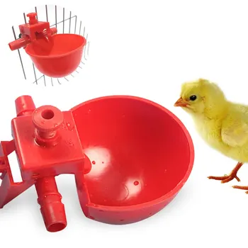 Chicken Drinker Chicken Cups Red Quail Chicken Drinker Automatic Bowl Chicken Coop Feeder for Drinking Water
Chicken Drinker Chicken Cups Red Quail Chicken Drinker Automatic Bowl Chicken Coop Feeder for Drinking Water