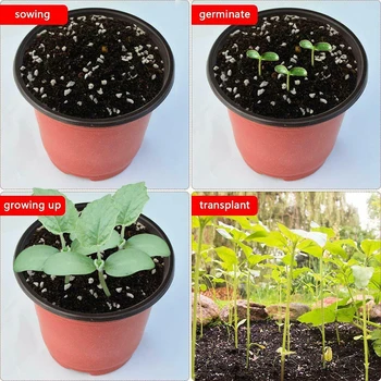 100Pcs/Set Plastic Thicken Nursery Pot Seedlings Flower Plant Container Garden Replacement Garden Pots And Planters
100Pcs/Set Plastic Thicken Nursery Pot Seedlings Flower Plant Container Garden Replacement Garden Pots And Planters