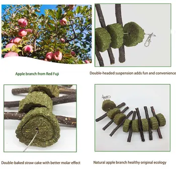 Healthy Parrot Hamster Toy Rabbit Guinea Pig Chew Grass Cake Apple-wood String for Teeth Cleaning Haning Molar Toy
Healthy Parrot Hamster Toy Rabbit Guinea Pig Chew Grass Cake Apple-wood String for Teeth Cleaning Haning Molar Toy