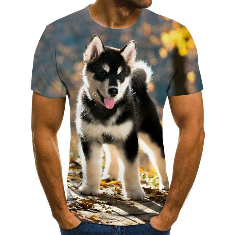 2020 Fun novel animal pig lion dog orangutan tiger series T-shirt 3D printed T-shirt for men and women T-shirt Harajuku style
2020 Fun novel animal pig lion dog orangutan tiger series T-shirt 3D printed T-shirt for men and women T-shirt Harajuku style