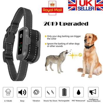 Anti Bark Collar USB Rechargeable Dog Training Collar Stop Barking Device 5 Levels Dog Collar Electric Shock And Vibration
Anti Bark Collar USB Rechargeable Dog Training Collar Stop Barking Device 5 Levels Dog Collar Electric Shock And Vibration