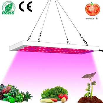 300W Grow Light Full Spectrum Indoor Hydro Veg Flower Grow Panel 54 LED Led Grow Light
300W Grow Light Full Spectrum Indoor Hydro Veg Flower Grow Panel 54 LED Led Grow Light