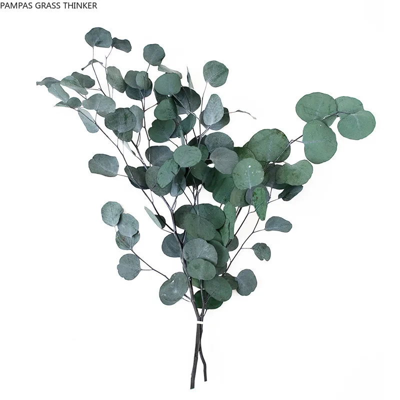 4 Stems Immortal eucalyptus stem with leaves dried eucalyptus branches slender leaves natural flower arrangement decor No Vase
4 Stems Immortal eucalyptus stem with leaves dried eucalyptus branches slender leaves natural flower arrangement decor No Vase