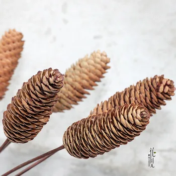 10Pcs/set Natural Dried Pine Cone Photo Props Accessories Christmas for Home Decoration New Year DIY Party Decoration
10Pcs/set Natural Dried Pine Cone Photo Props Accessories Christmas for Home Decoration New Year DIY Party Decoration