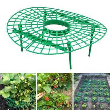 5pcs/set Plant Support Stand Flower Climbing Vine Pillar Strawberry Growing Tray Rack Agriculture Gardening Tools and Equipmen
5pcs/set Plant Support Stand Flower Climbing Vine Pillar Strawberry Growing Tray Rack Agriculture Gardening Tools and Equipmen